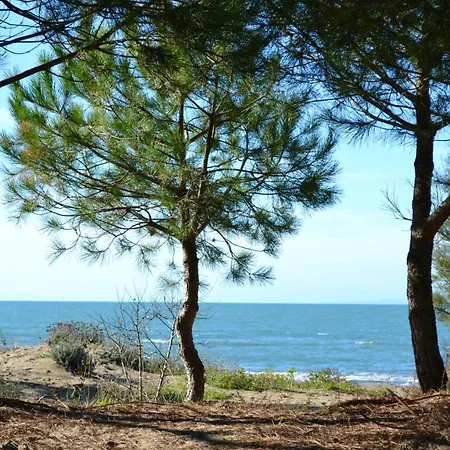 De 2 Chambres A A 50 M De La Plage Avec Piscine Partagee Et Terrasse Amenagee شقة